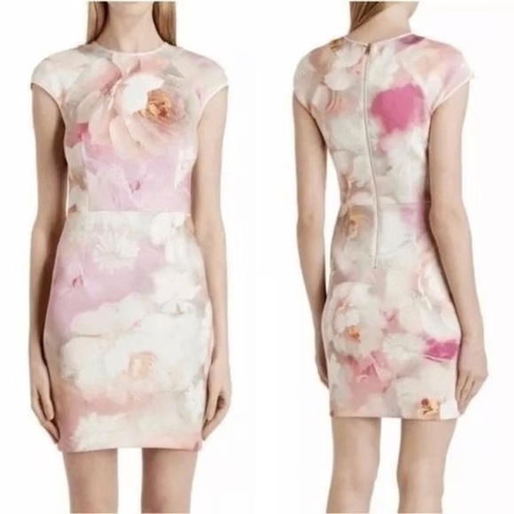 Ted Baker Quaro Rose On Canvas, Neoprene (D9) - Picture 1 of 8
